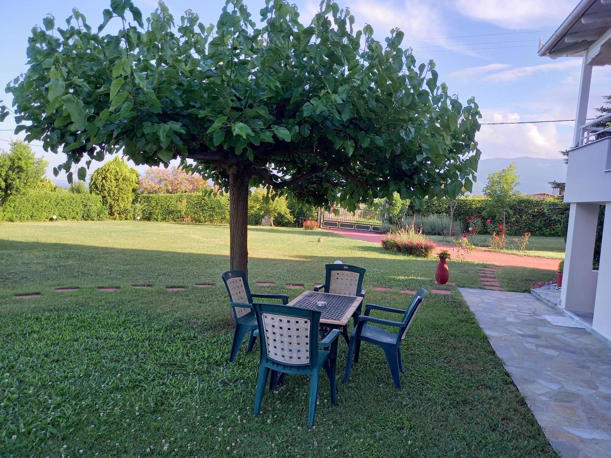 הוילה לפטוקריה Tammy'S Garden House מראה חיצוני תמונה