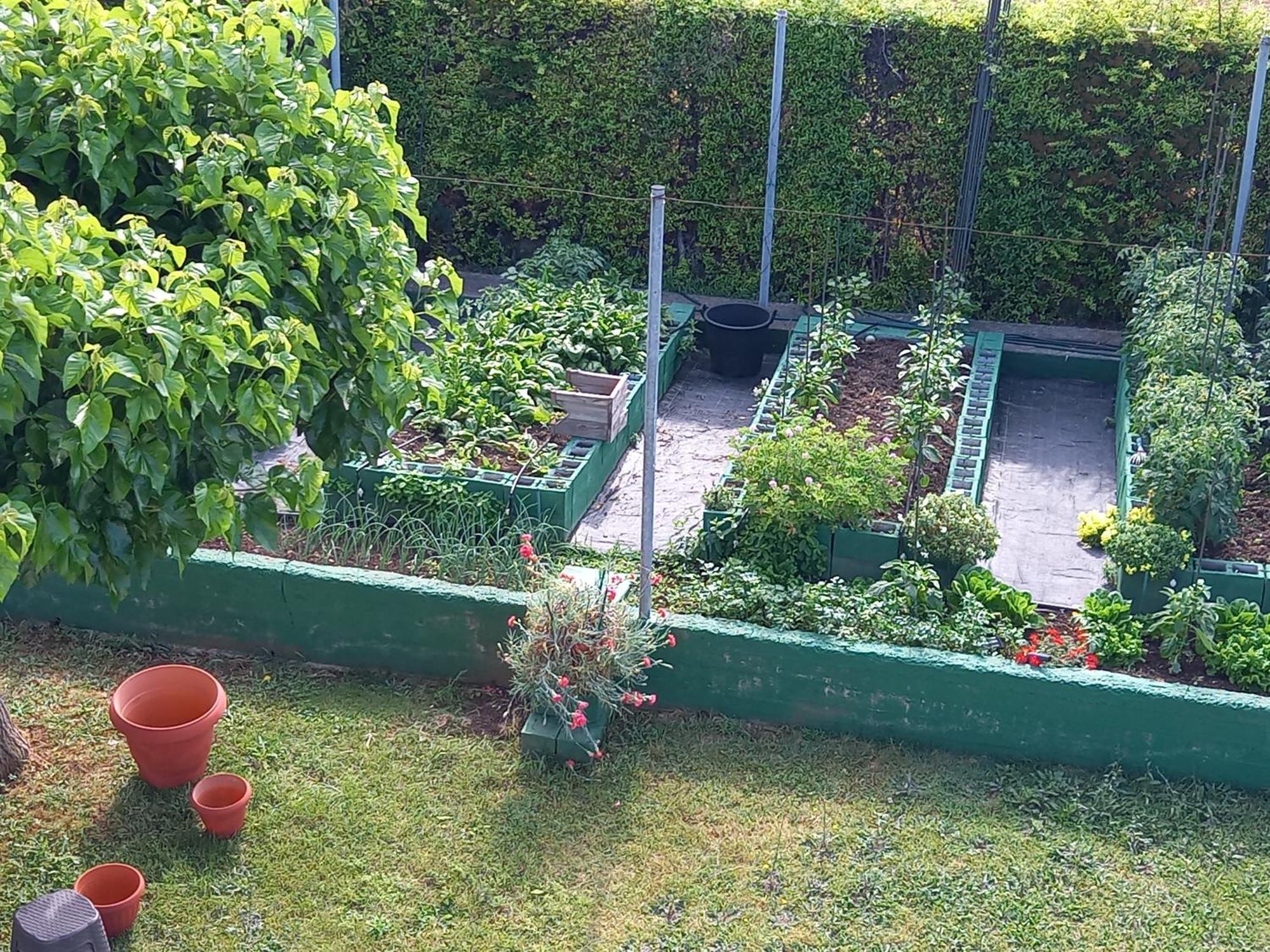 הוילה לפטוקריה Tammy'S Garden House מראה חיצוני תמונה