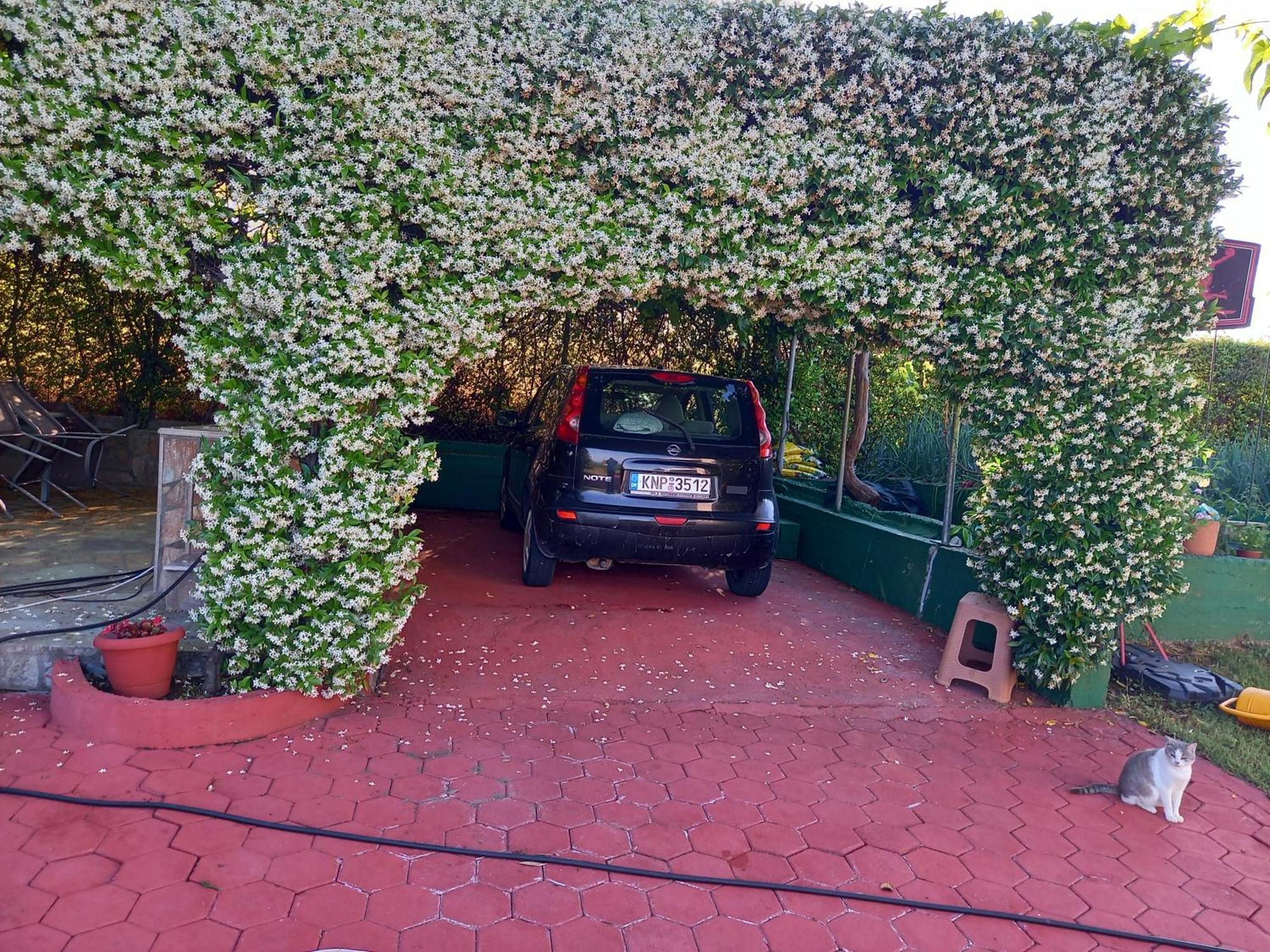 הוילה לפטוקריה Tammy'S Garden House מראה חיצוני תמונה