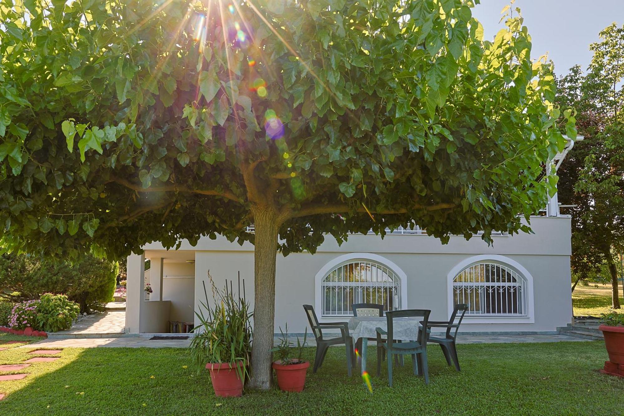 הוילה לפטוקריה Tammy'S Garden House מראה חיצוני תמונה