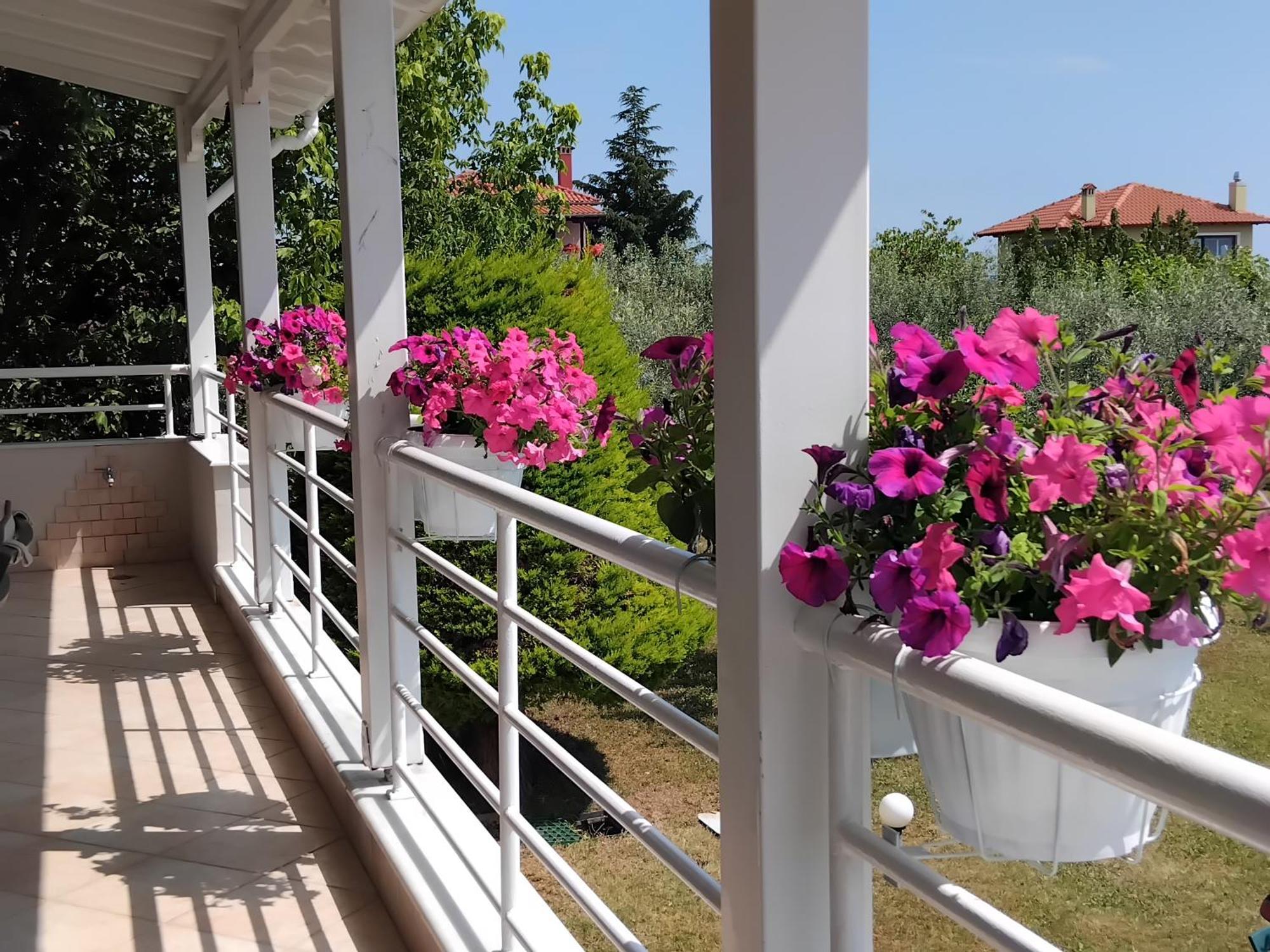 הוילה לפטוקריה Tammy'S Garden House מראה חיצוני תמונה