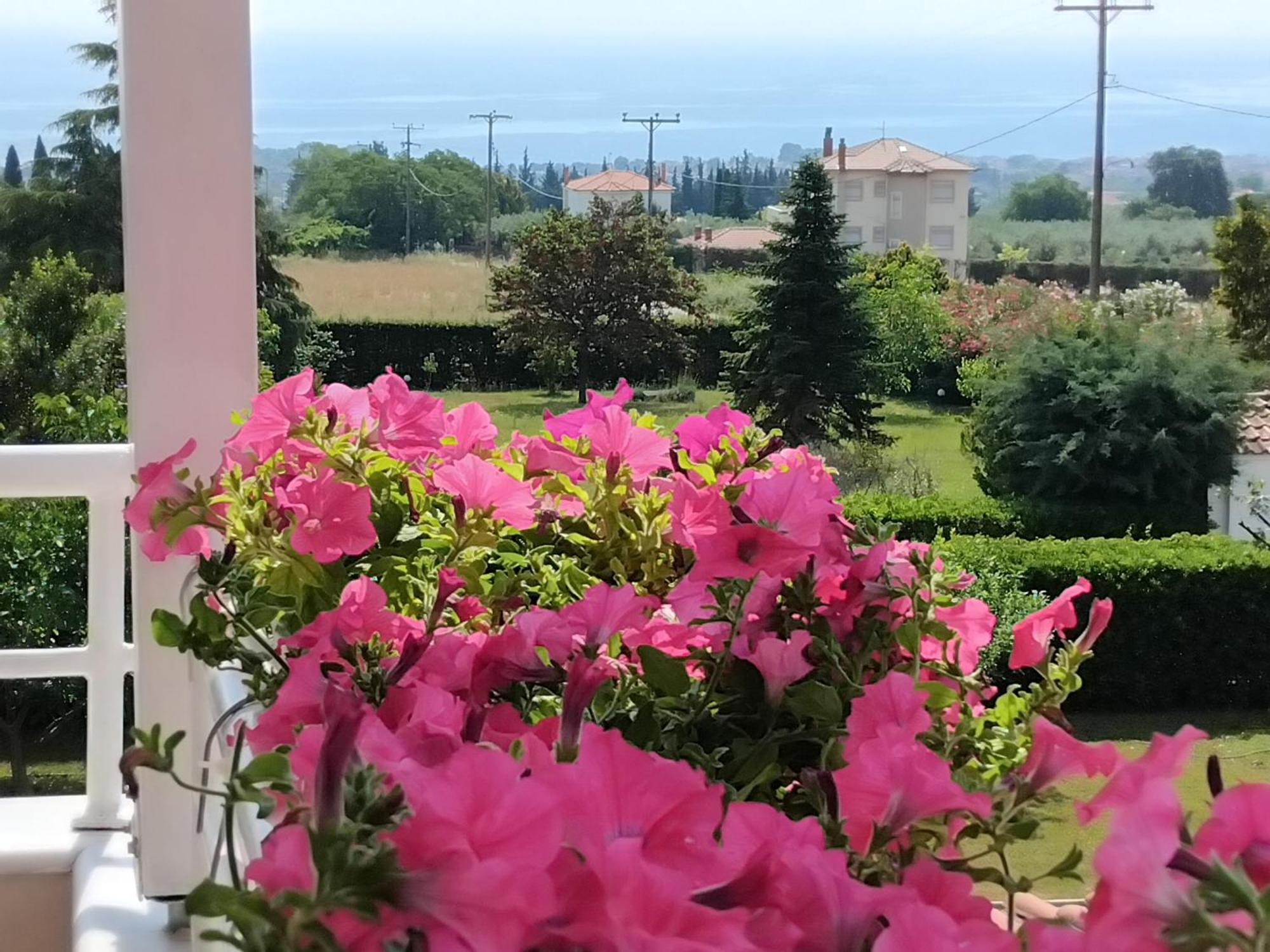הוילה לפטוקריה Tammy'S Garden House מראה חיצוני תמונה