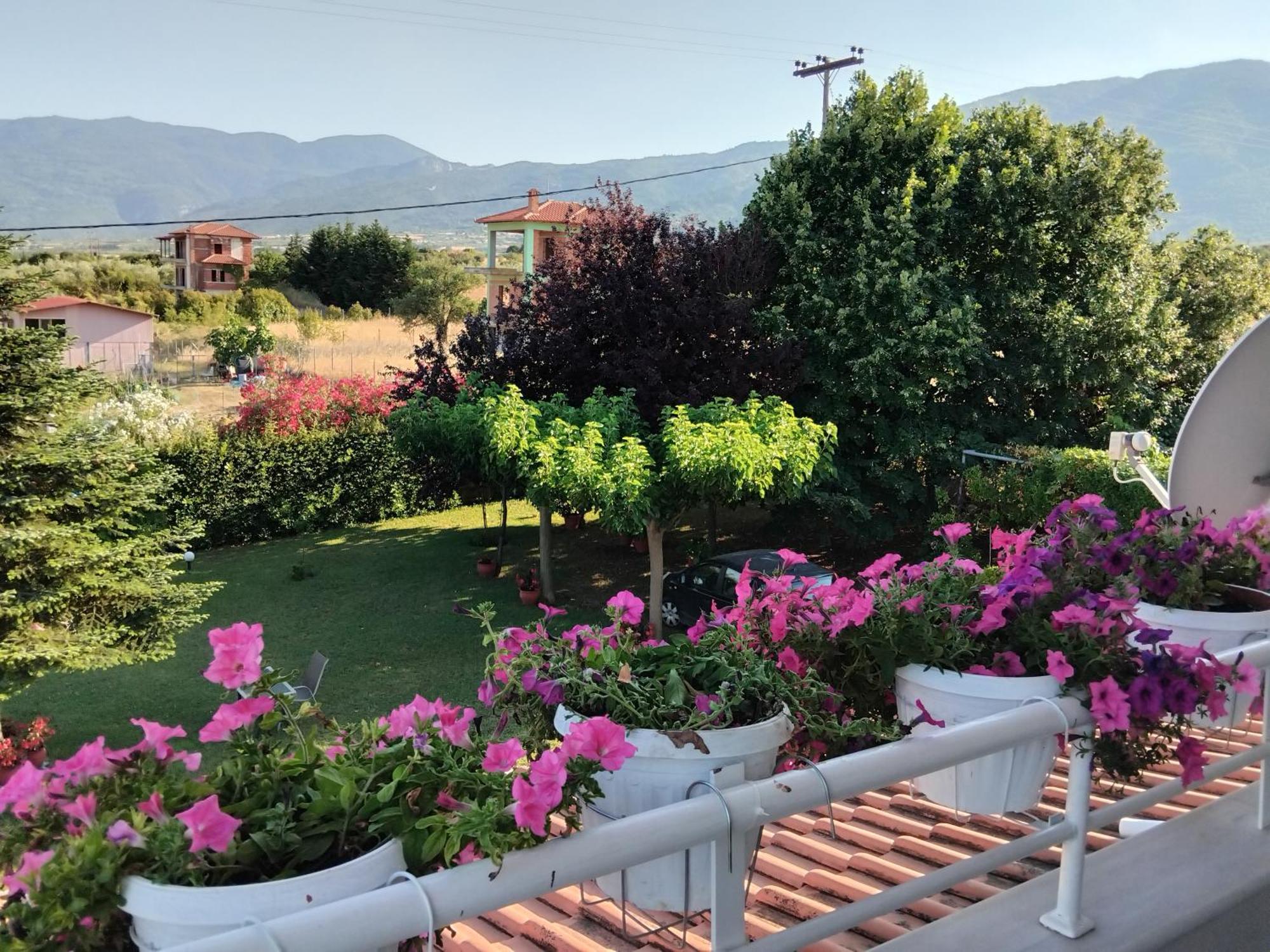 הוילה לפטוקריה Tammy'S Garden House מראה חיצוני תמונה