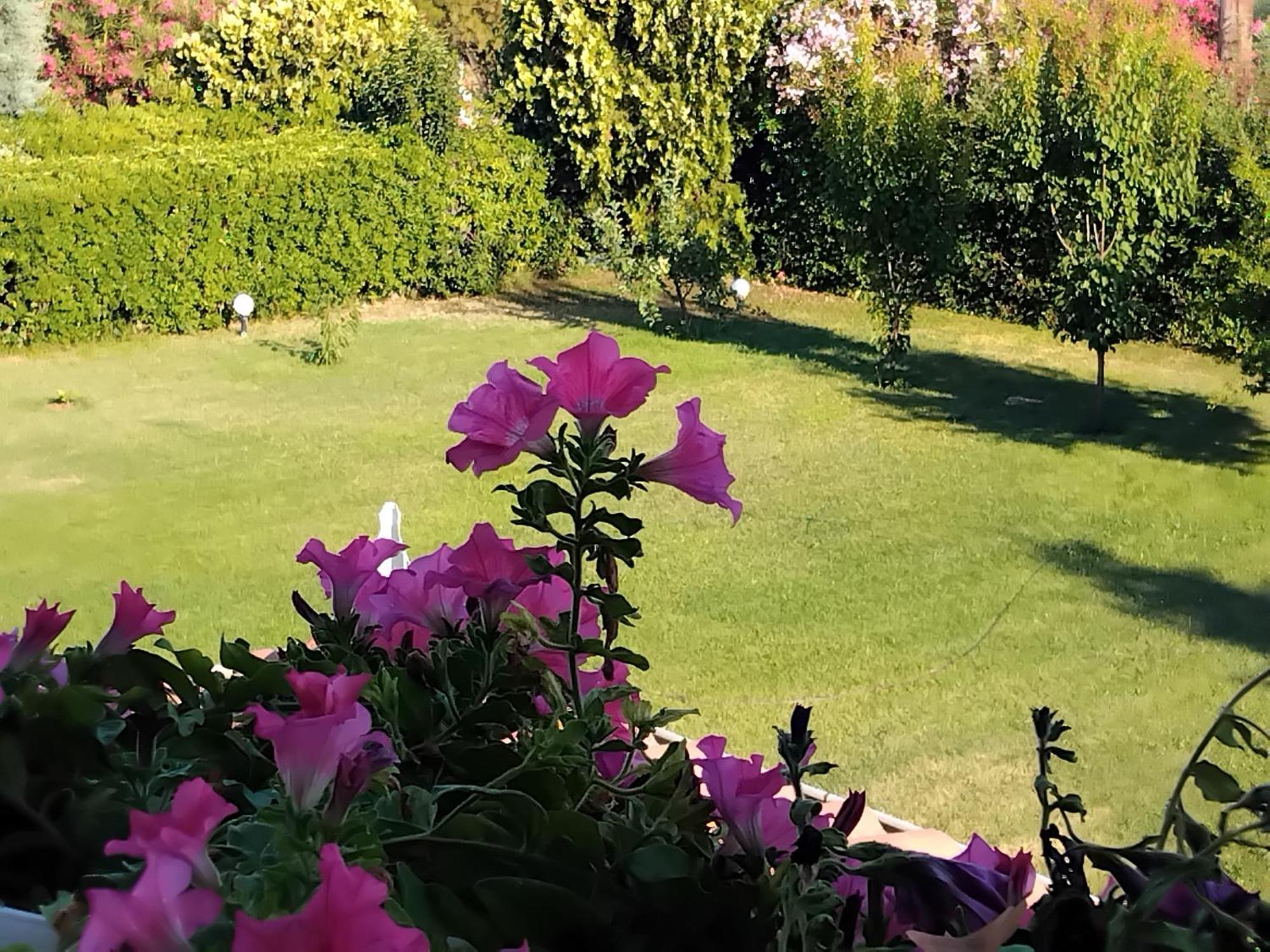 הוילה לפטוקריה Tammy'S Garden House מראה חיצוני תמונה