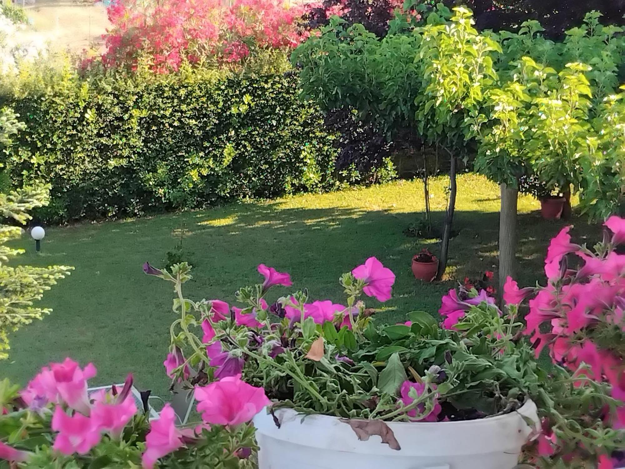 הוילה לפטוקריה Tammy'S Garden House מראה חיצוני תמונה