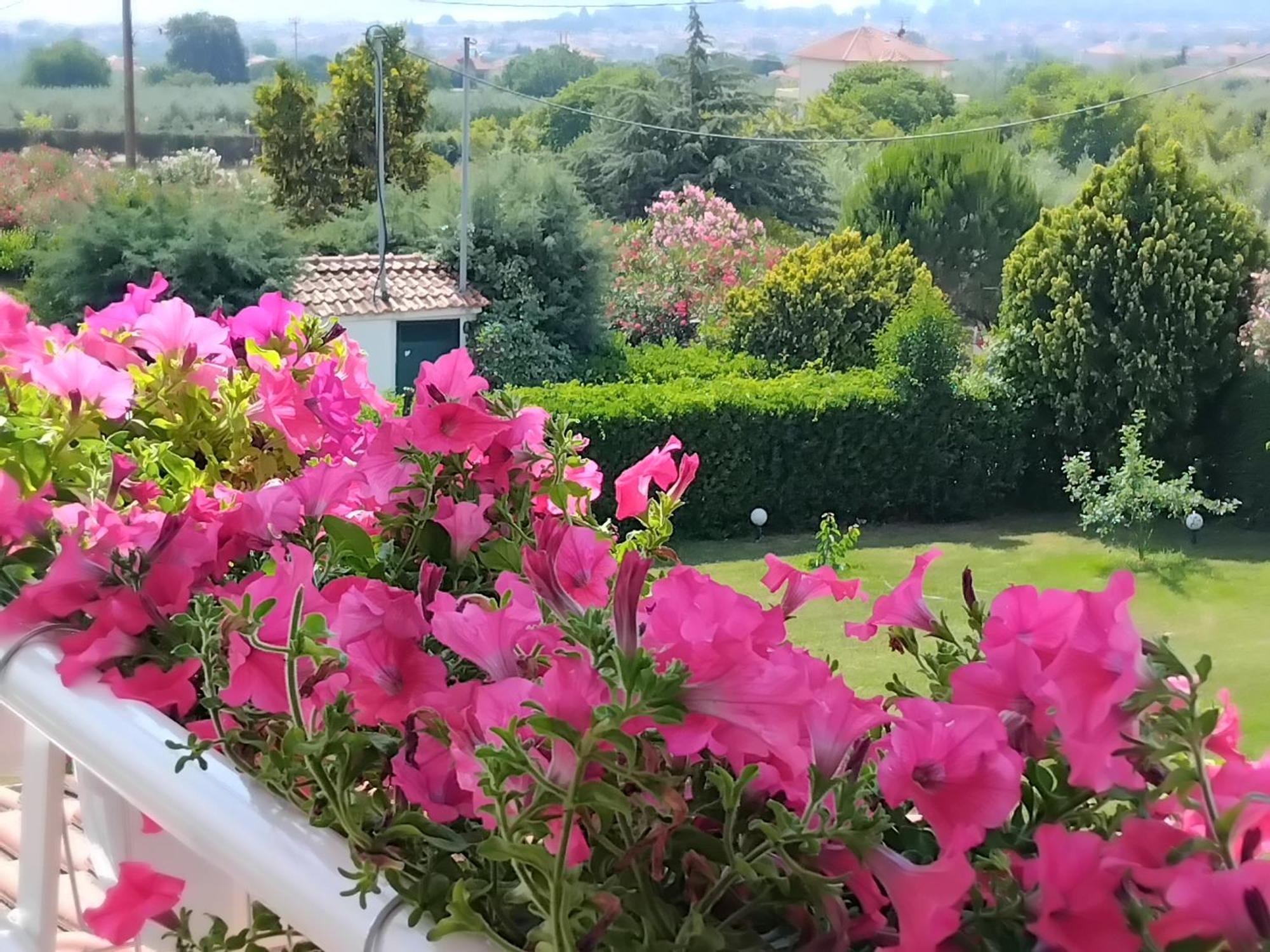 הוילה לפטוקריה Tammy'S Garden House מראה חיצוני תמונה
