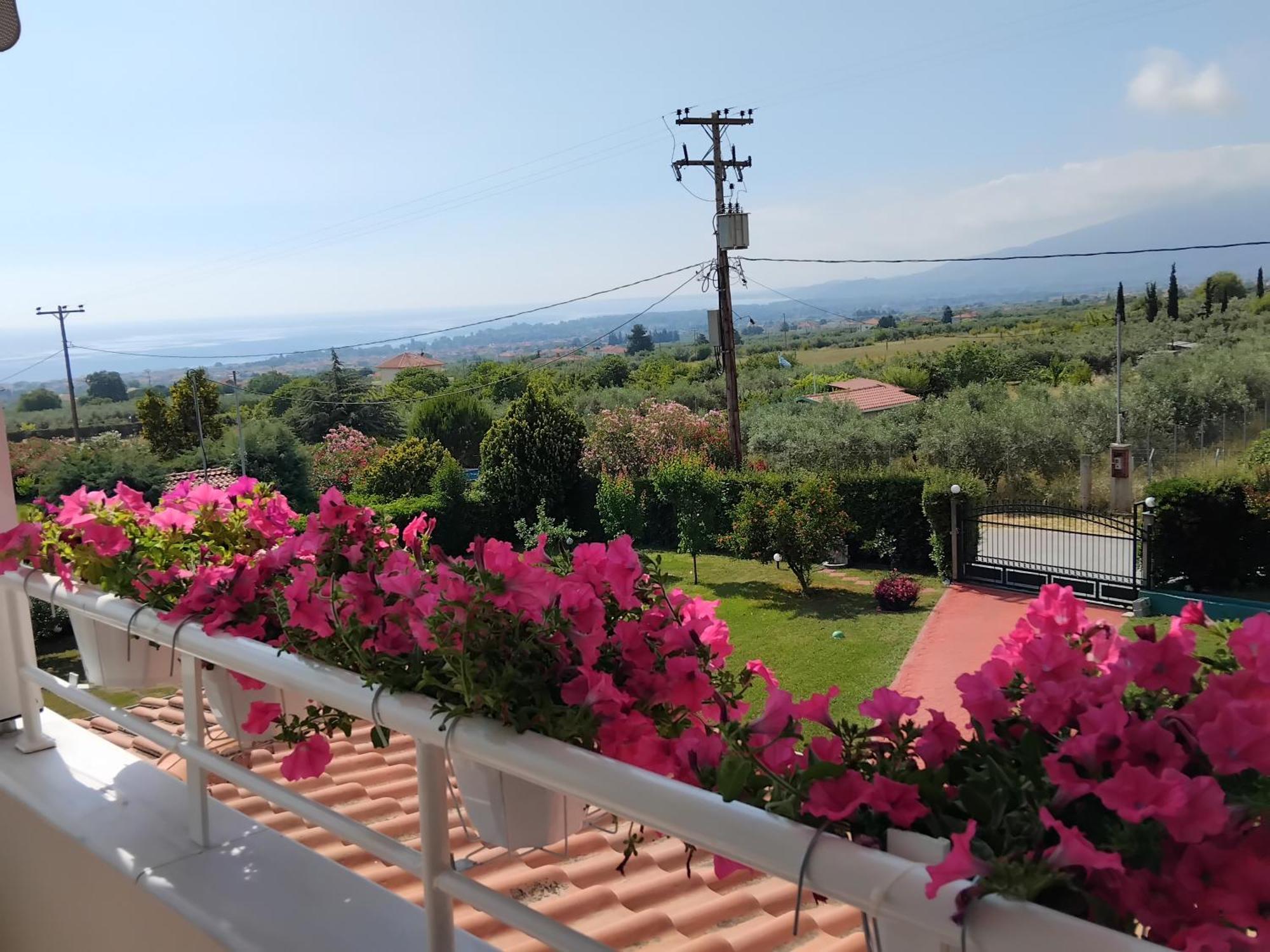 הוילה לפטוקריה Tammy'S Garden House מראה חיצוני תמונה