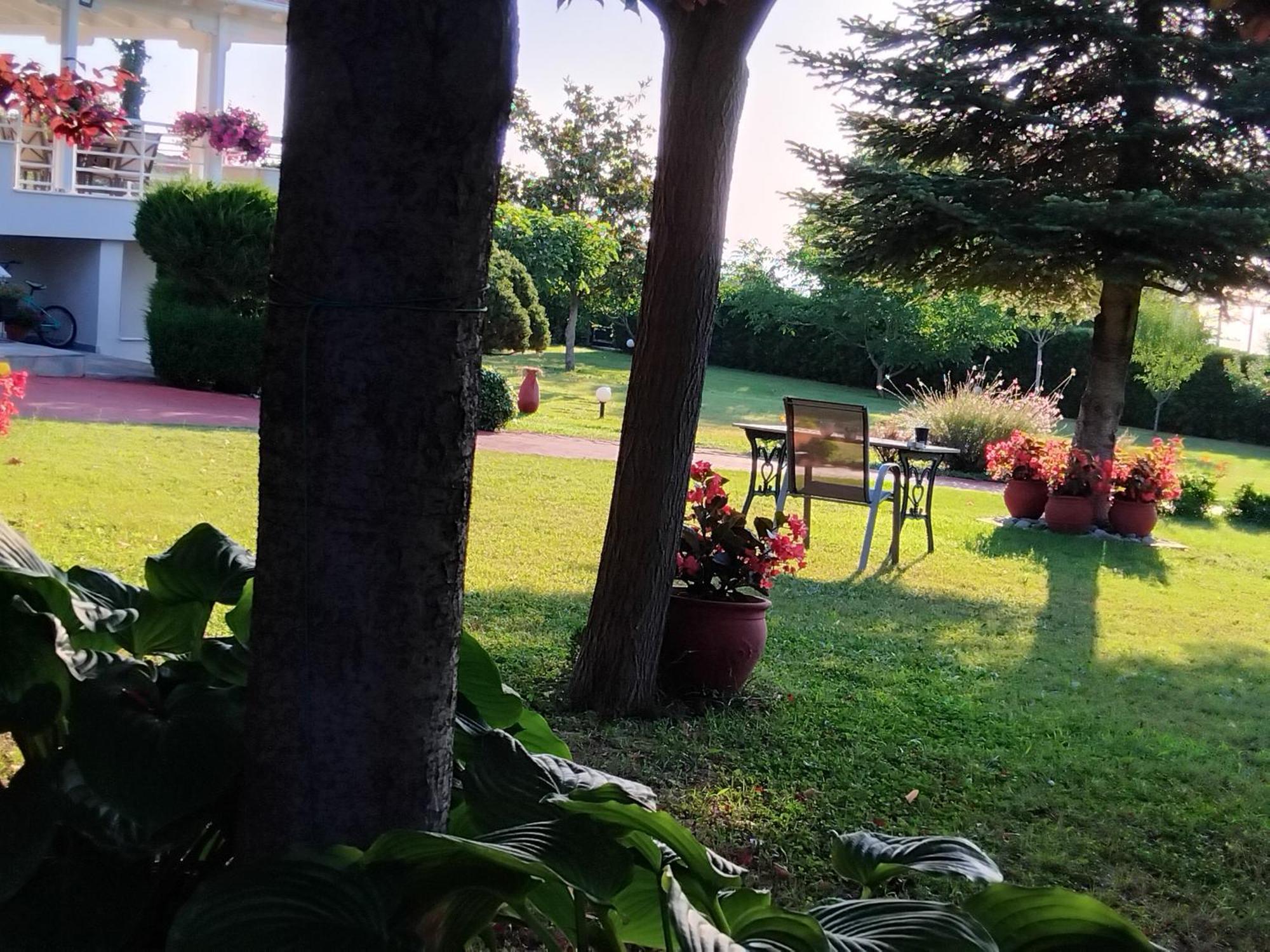 הוילה לפטוקריה Tammy'S Garden House מראה חיצוני תמונה